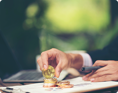 Bovillus Finance